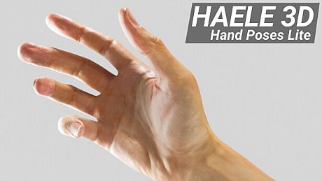 HAELE 3D - Hand Poses Lite - Drawing References Game