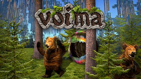 VOIMA Game