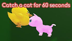 Catch a cat for 60 seconds