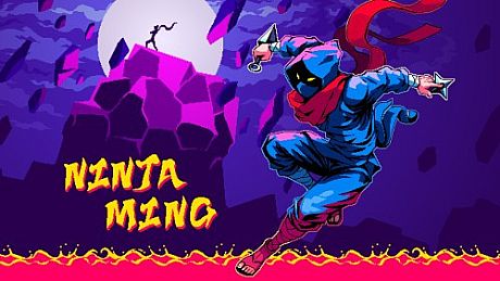 Ninja Ming Game