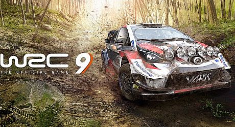 WRC 9 FIA World Rally Championship Game