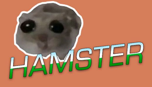 Hamster