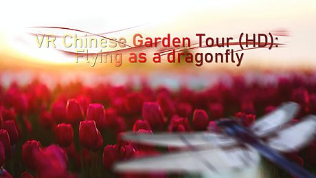 VR Chinese Garden Tour (HD): Flying as a dragonfly Game