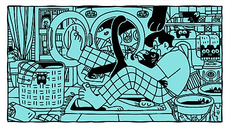 Cats Around Us: Black Cat Game