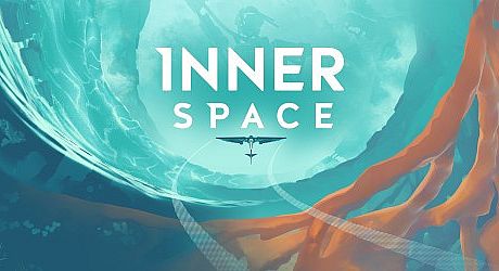 InnerSpace Game