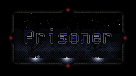 Prisoner Game