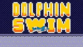Dolphin Swim
