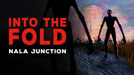 Into the Fold - Nala Junction Game