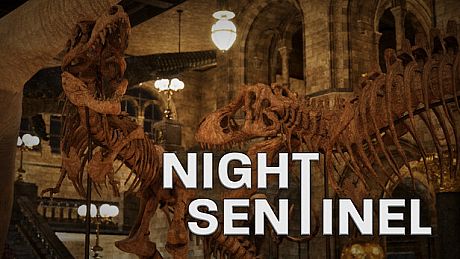 Night Sentinel Game