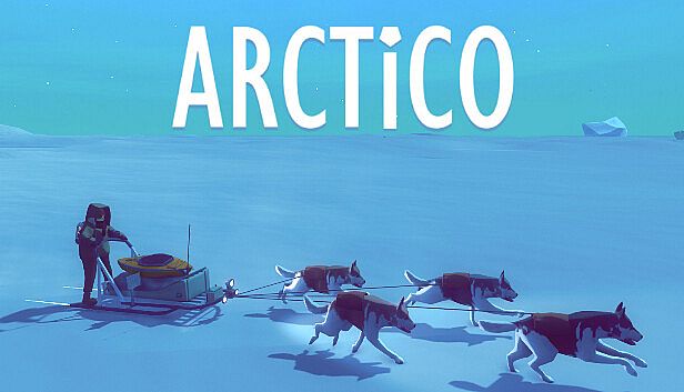 Buy Arctico