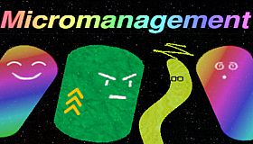 Micromanagement