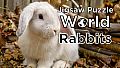 Jigsaw Puzzle World - Rabbits