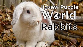 Jigsaw Puzzle World - Rabbits