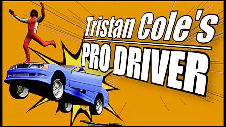 Tristan Cole's Pro Driver Game
