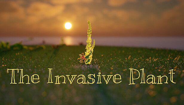 Buy The Invasive Plant