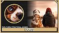 Pixel Puzzles Traditional Jigsaws Pack: Dogs