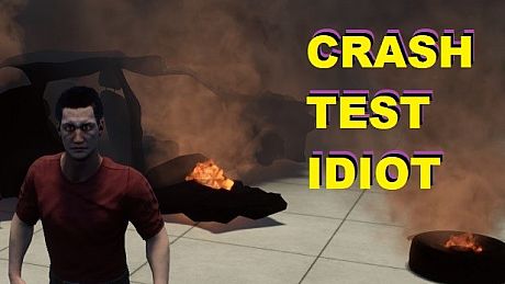 CRASH TEST IDIOT Game