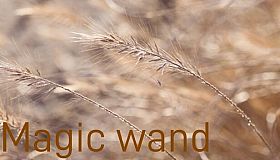 Magic wand