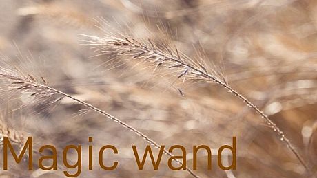 Magic wand Game