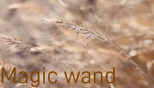 Magic wand