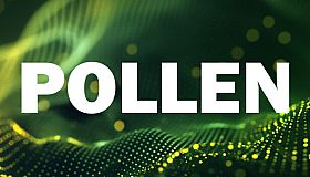 Pollen