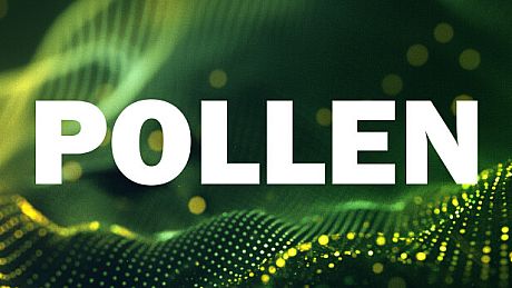 Pollen