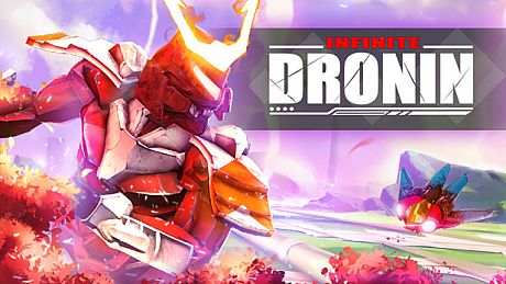 Infinite Dronin Game