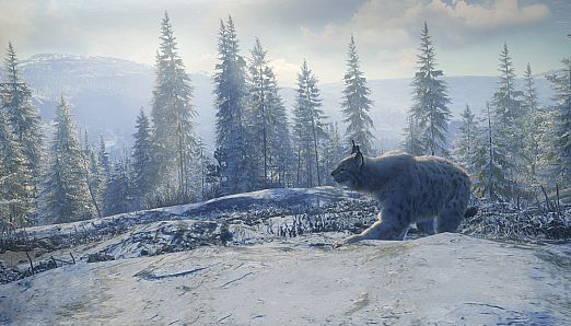 theHunter: Call of the Wild - Medved-Taiga