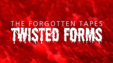 The Forgotten Tapes: Twisted Forms Game