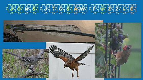 Jon's Jigsaw Puzzle Game