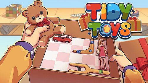 Tidy Toys