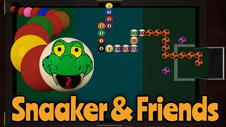 Snaaker & Friends Game