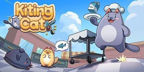 Kiting Cat