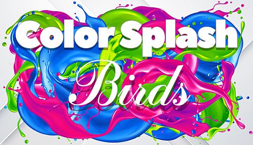 Color Splash: Birds