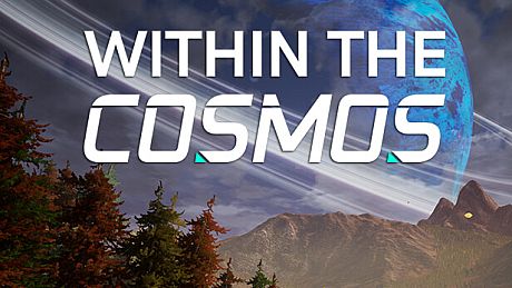 Within the Cosmos Game