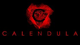 CALENDULA