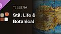 Tessera - Still Life & Botanical