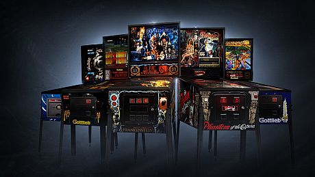 Pinball Arcade Game