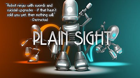 Plain Sight Game