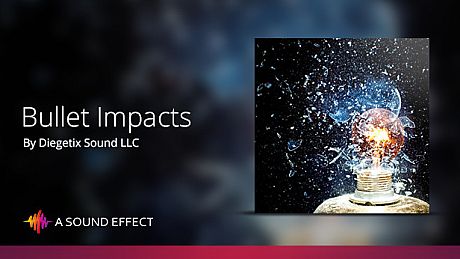 Sound FX: Bullet Impacts DLC