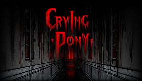 Crying Pony