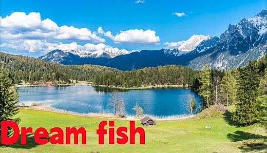 Dream fish