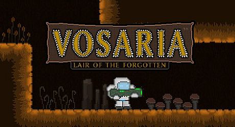Vosaria: Lair of the Forgotten Game