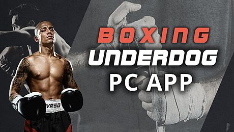 Boxing Underdog PC App Game
