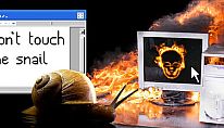 Buy Don't Touch the Snail PC