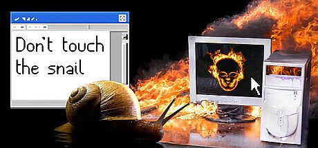 Don't Touch the Snail