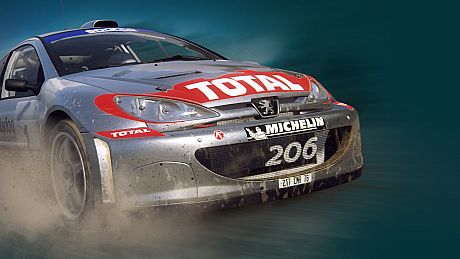 WS - Peugeot 206 Rally Bundle