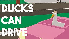 Ducks Can Drive