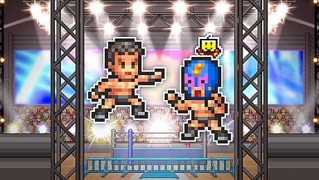 Pro Wrestler Story Game