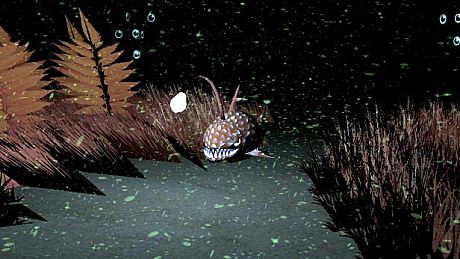 Ladybugs and Storm Game